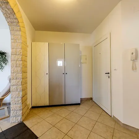 Vivis Медулин